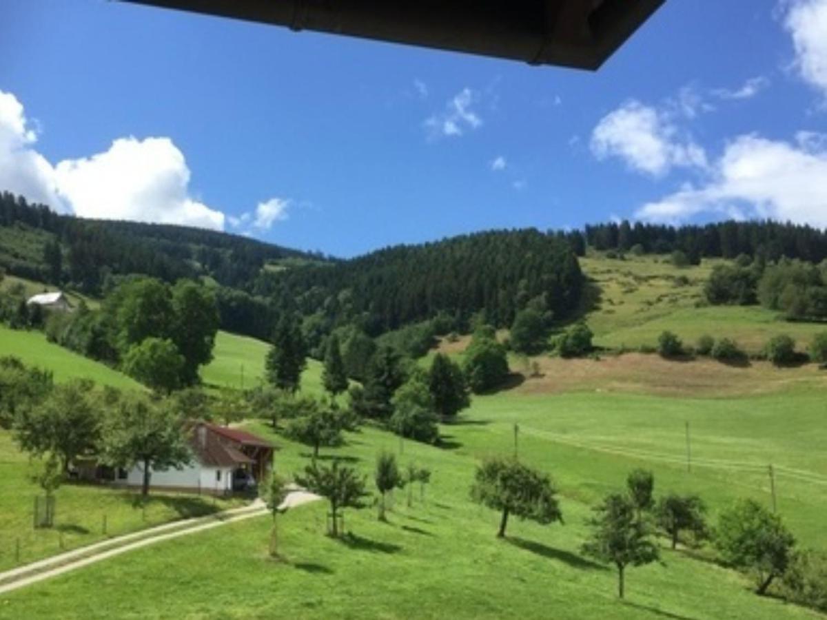 Ferienwohnungen Maierhof Oberried Оберрід Екстер'єр фото