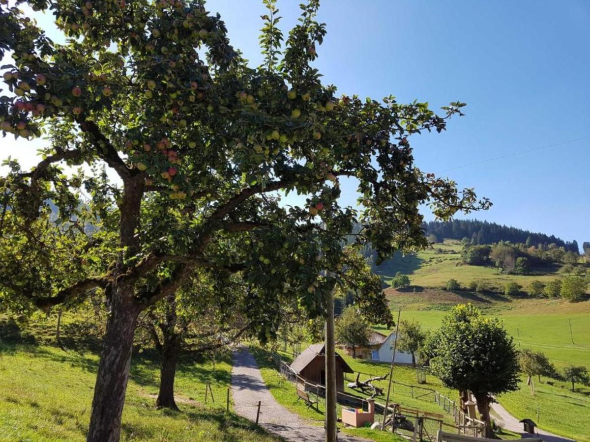 Ferienwohnungen Maierhof Oberried Оберрід Екстер'єр фото