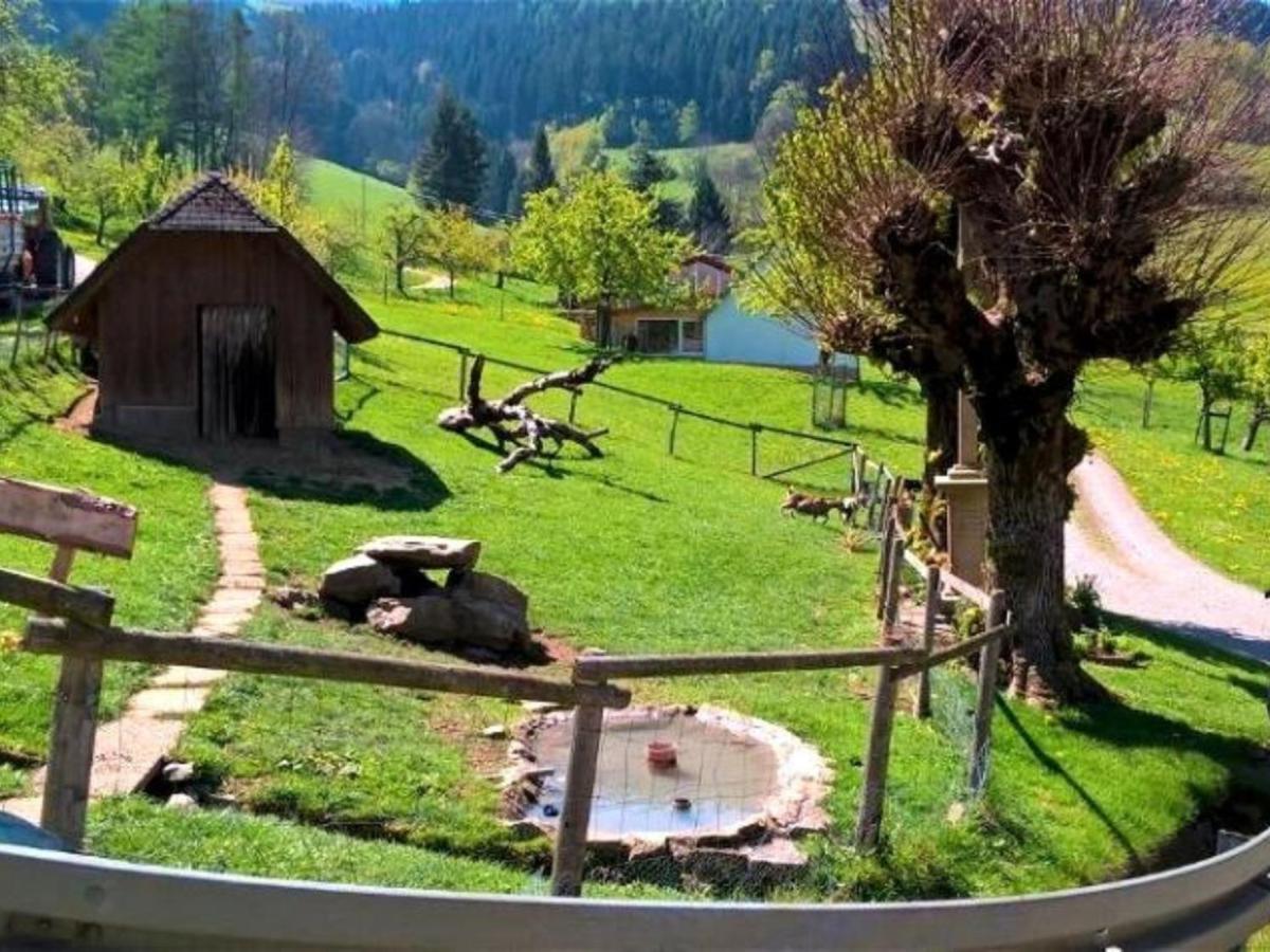 Ferienwohnungen Maierhof Oberried Оберрід Екстер'єр фото