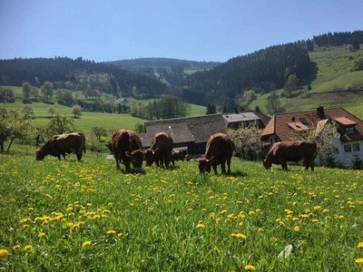 Ferienwohnungen Maierhof Oberried Оберрід Екстер'єр фото
